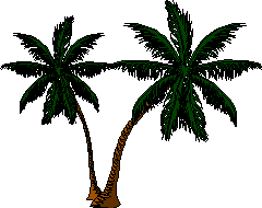 palms.gif (4581 bytes)